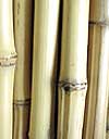 eco-friendly bamboo