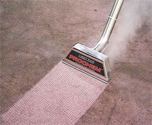 Environmentally Friendly Carpet Cleaning for Middlebury ,VT